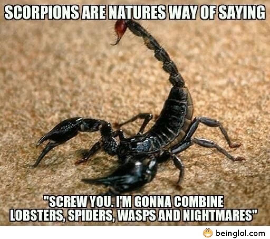 scorpion mother nature meme