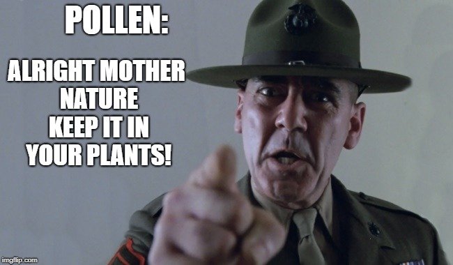 mother nature meme about pollen